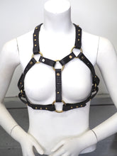 HARNESS, Immersive
