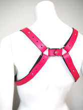 HARNESS, Shoulder