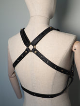 HARNESS, Immersive